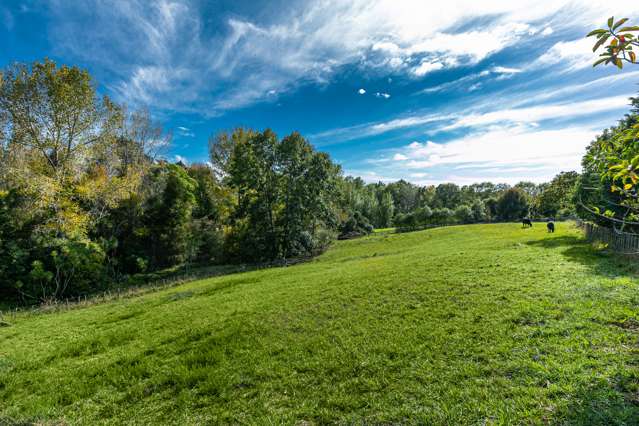 Screen Road Coatesville_1