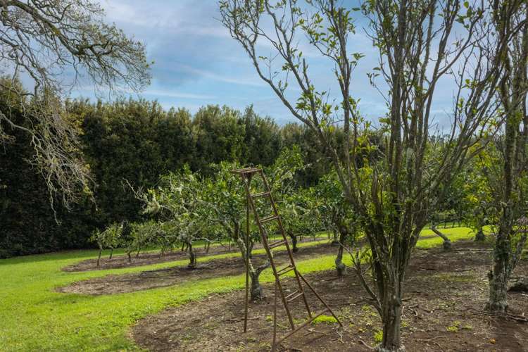 17 Maraenui Drive Kerikeri_18