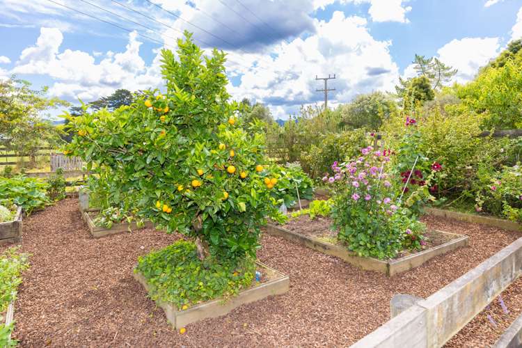 19 Karakariki Valley Road Whatawhata_21