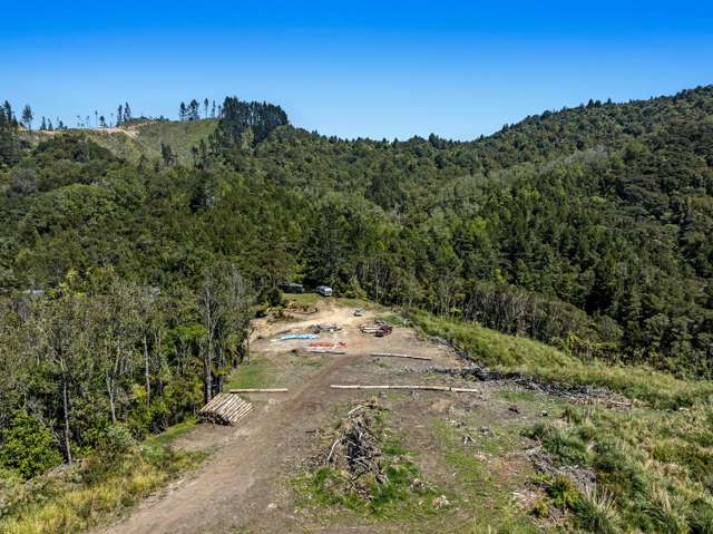 Gaskill Road Tirohanga_3
