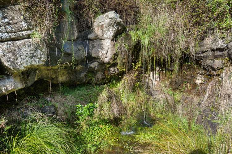 231 Huntsbury Avenue Cashmere_6