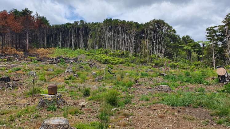 574 Honeymoon Valley Road Peria_0