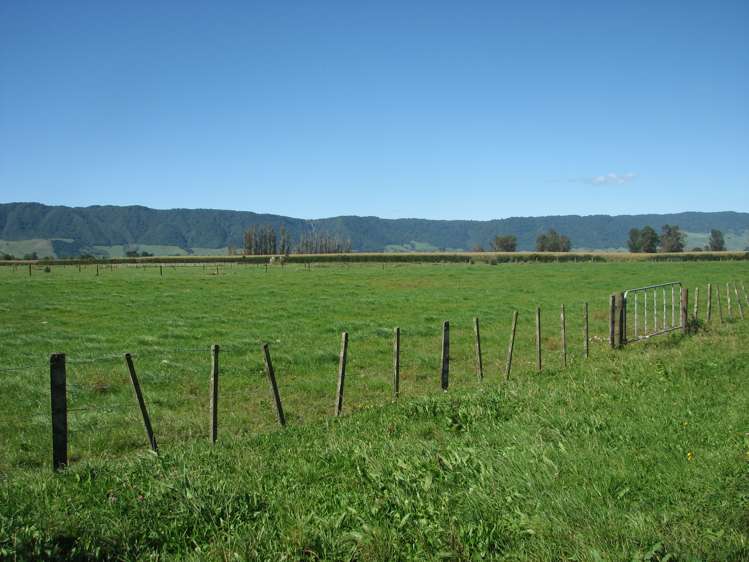 118 Costall Road Wardville_5