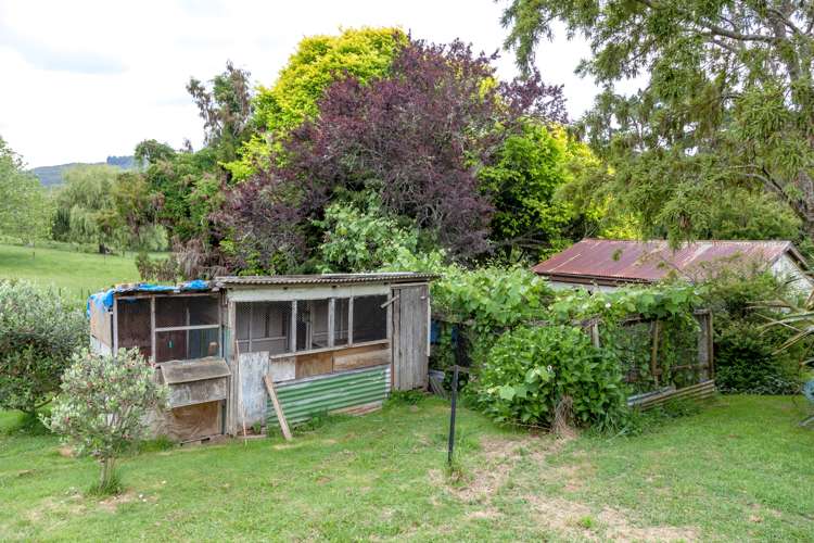 529 Kauaeranga Valley Road Thames_23