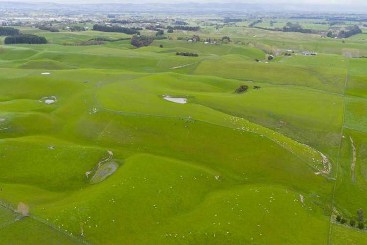 234 Sandon Road Feilding_11