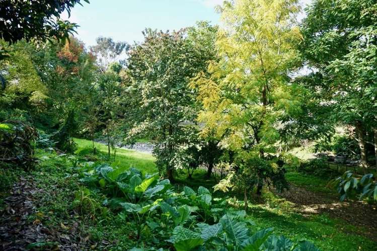 16 Hastings Street Te Puke_14