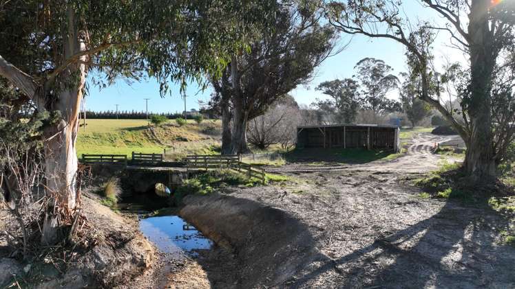 Lot 2 Beatties Road Ashley_6