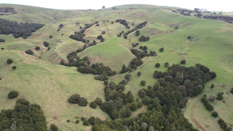 4283 State Highway 12 Dargaville Surrounds_8