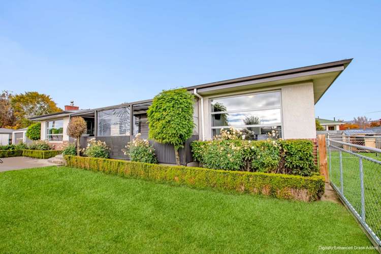 12 Kitchener Street_5