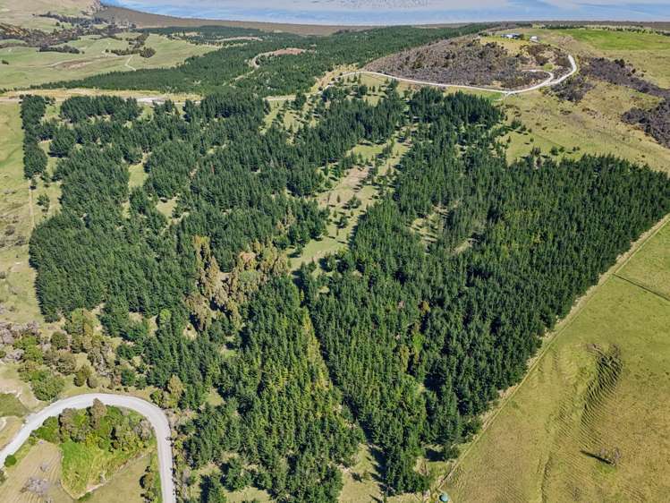 Te Kowhai Road Ruawai_3