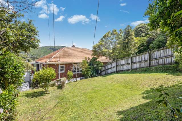 23 Sydenham Street Northland_1