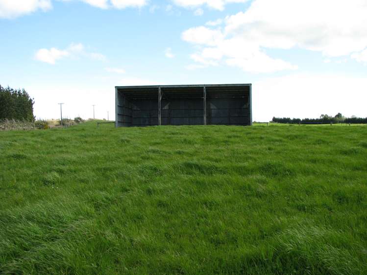 1271 Waikaka Valley Highway Gore Surrounds_6