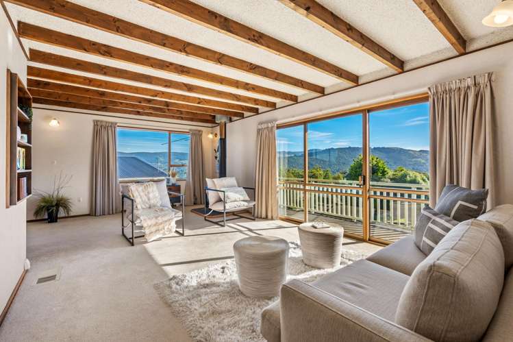 224 Larnach Road Waverley_5