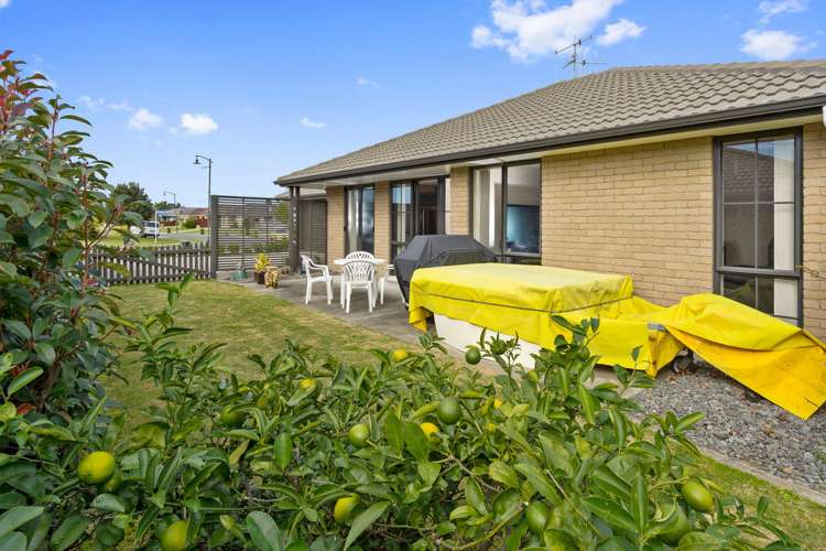 165 Longview Drive Papamoa_11