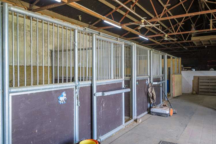 23C Broadmeadows Road Tamahere_9