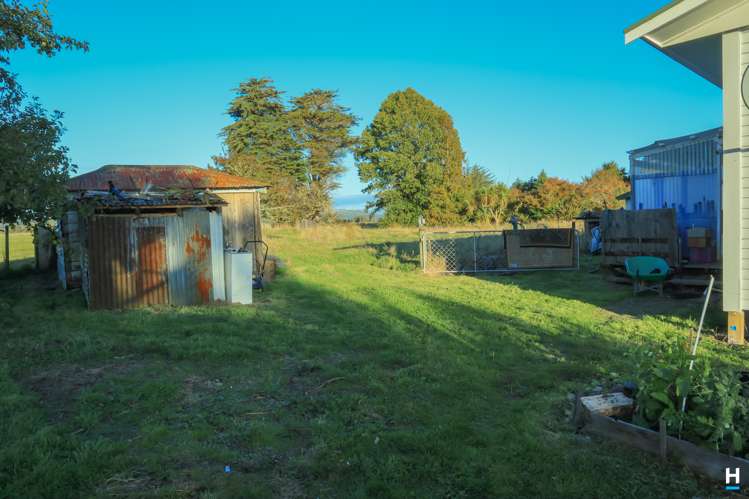 829 Nelson Creek Road Hochstetter_18