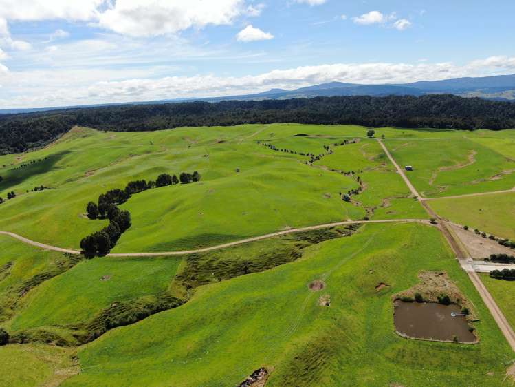 537 Tapuwae Road Benneydale_4