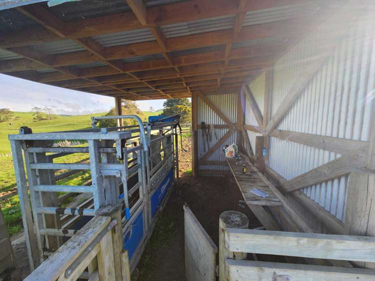 899 Te Akau Road Te Akau_24