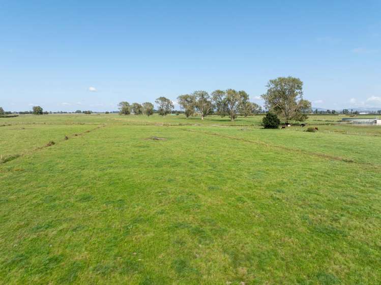 118 Costall Road Matamata_28