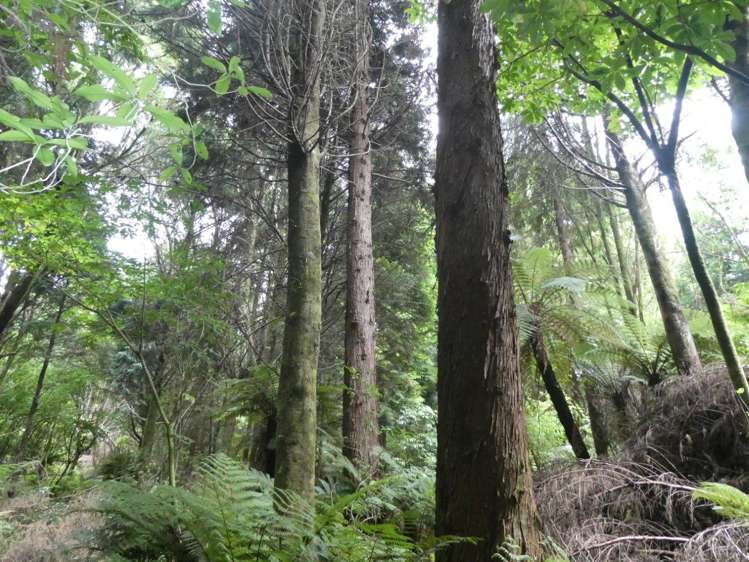 Camerons Road Marsden_9