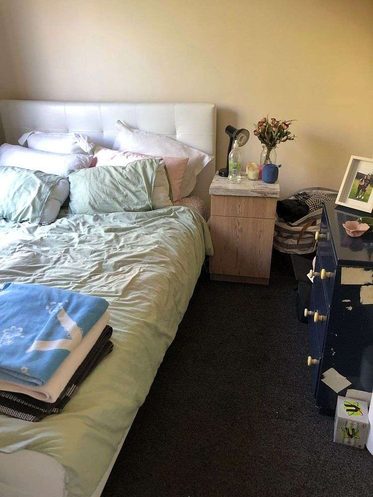 88 Creyke Road Ilam_11