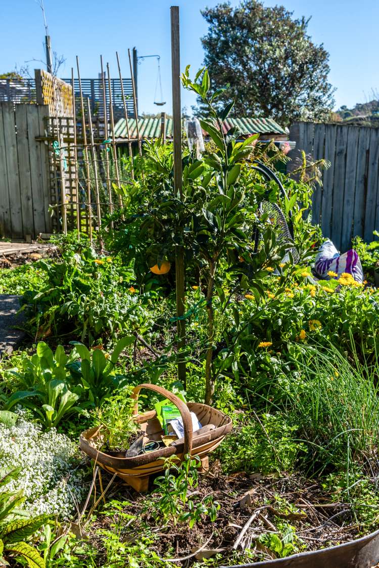 14 Waitai Road Ostend_19