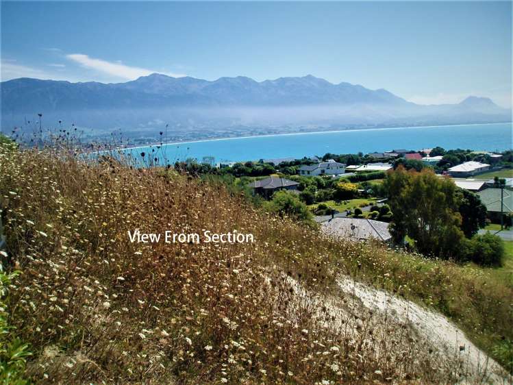 2 Lookers On Lane Kaikoura_4