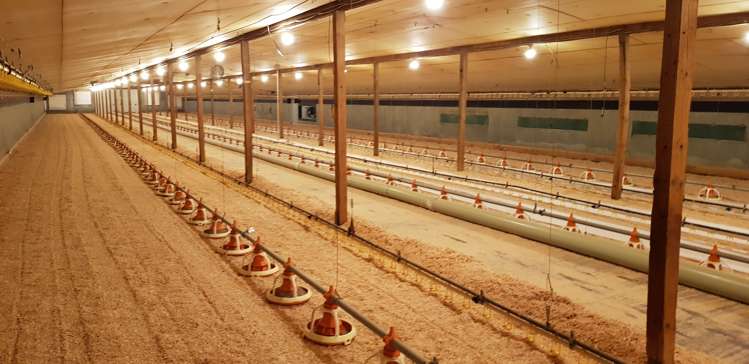 35 Mcclelland Road Rolleston_9