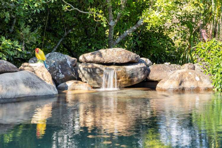 32 Cloverfields Drive Waimauku_34