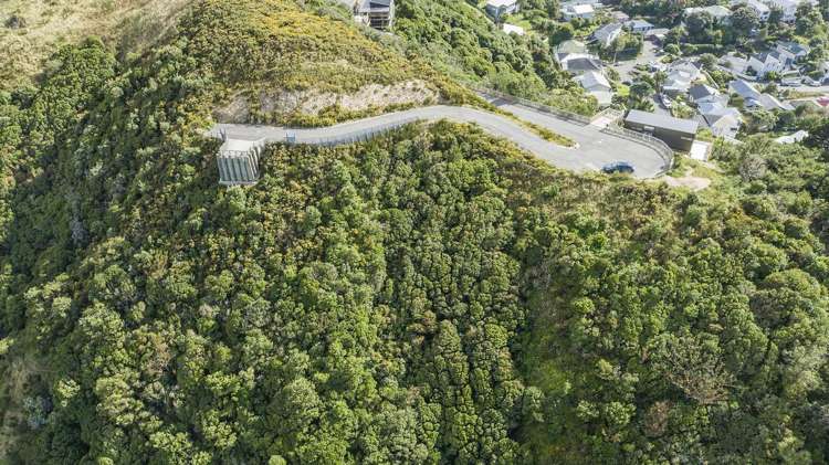 Lot 24, 75 Rhine Street Island Bay_6