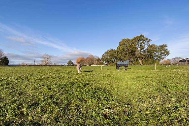 37 Tarr Road Ohaupo_28