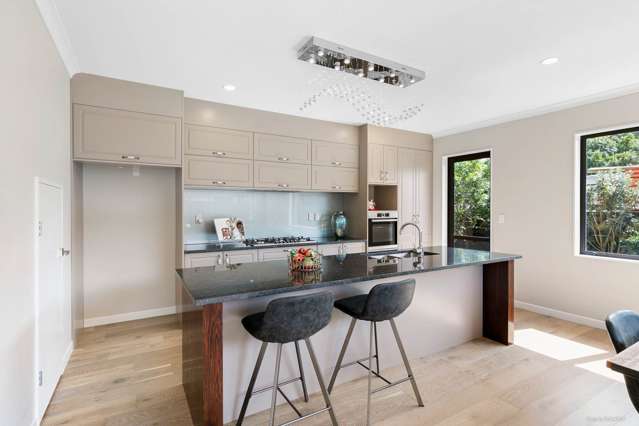 201a Captain Springs Road Onehunga_3