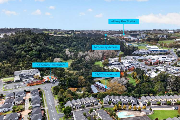 23/3 The Avenue Albany_19