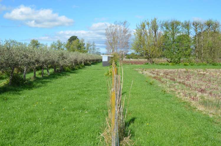 83 Boundary Road Upper Plain_7