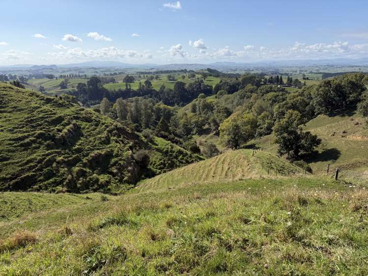 284 Owaikura Road Otorohanga_15