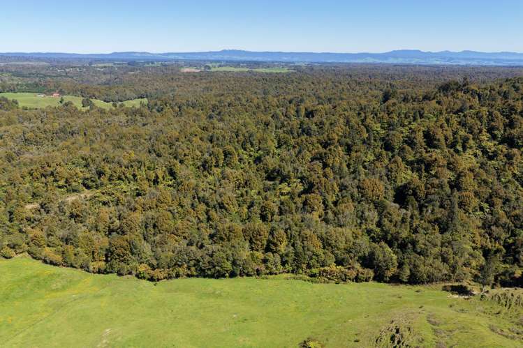 869 and 668 Mangatoi Road Oropi_8