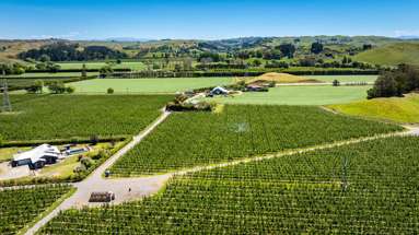 490 Puketitiri Road, Puketapu_1