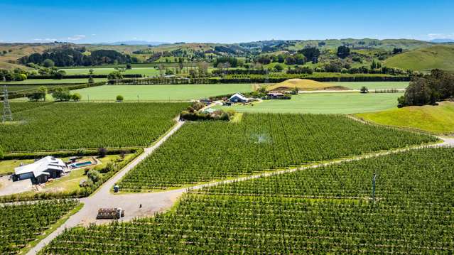 490 Puketitiri Road, Puketapu Napier South_1