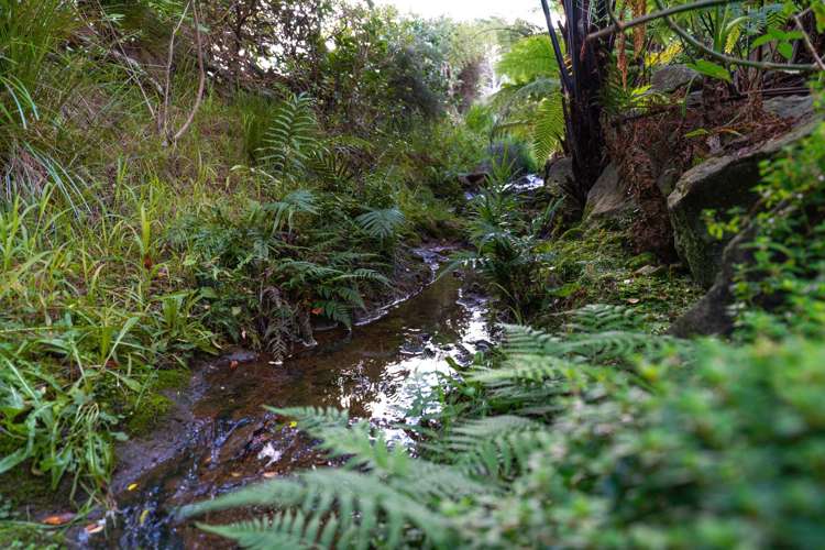 9B Astrid Drive Kerikeri_30
