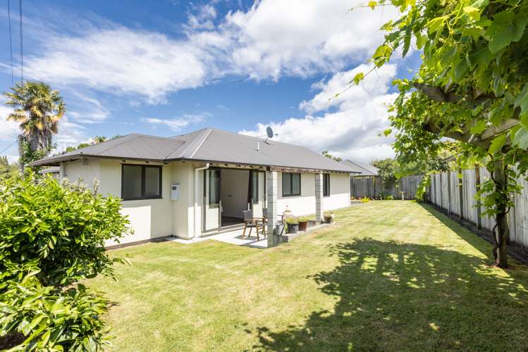 79c Joll Road Havelock North_5