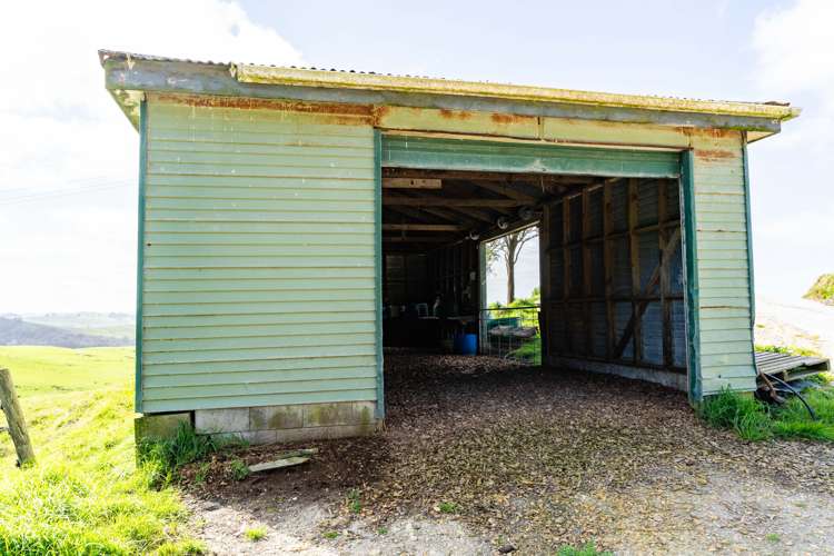 551 Tinopai Road Tinopai_19