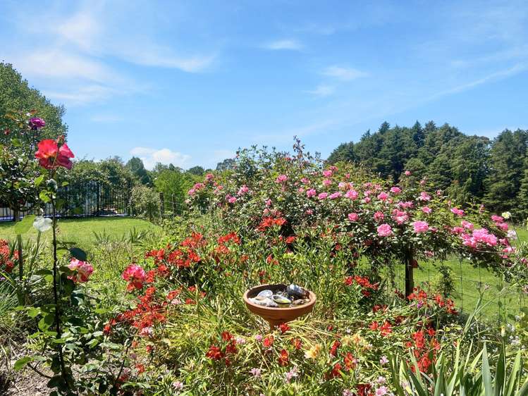 131B Hogg Road Rotoma_33