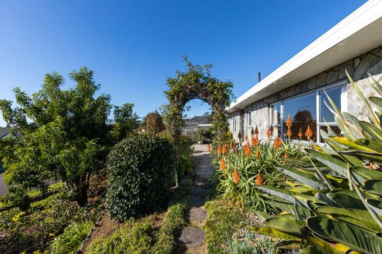 166 Heta Road Highlands Park_17