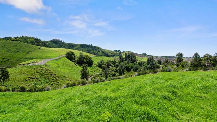 Lot 24 3600m2 Papamoa_5