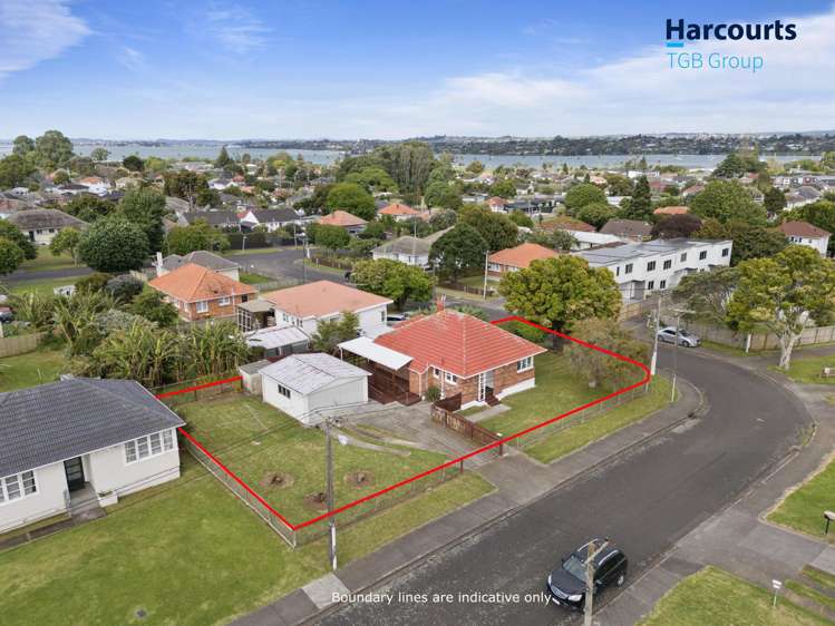 17 Ngarimu Road Panmure_14