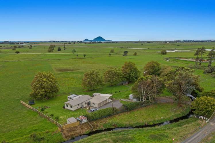 253a East Bank Road Edgecumbe_25