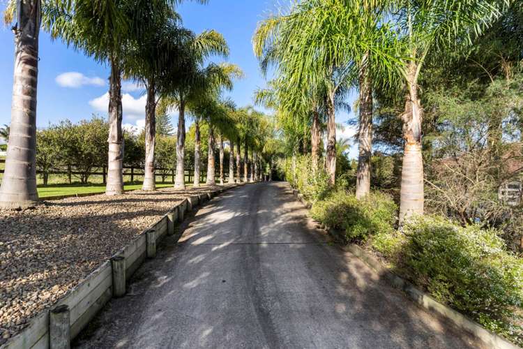 826 Runciman Road Ramarama_20