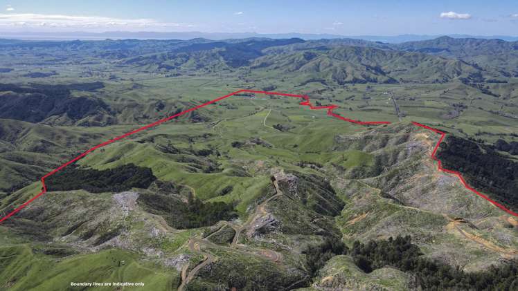 121a Taniwha Road Waiterimu_4