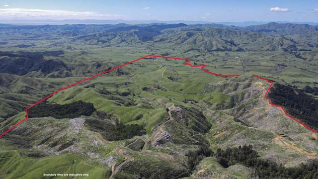 121a Taniwha Road Waiterimu_4