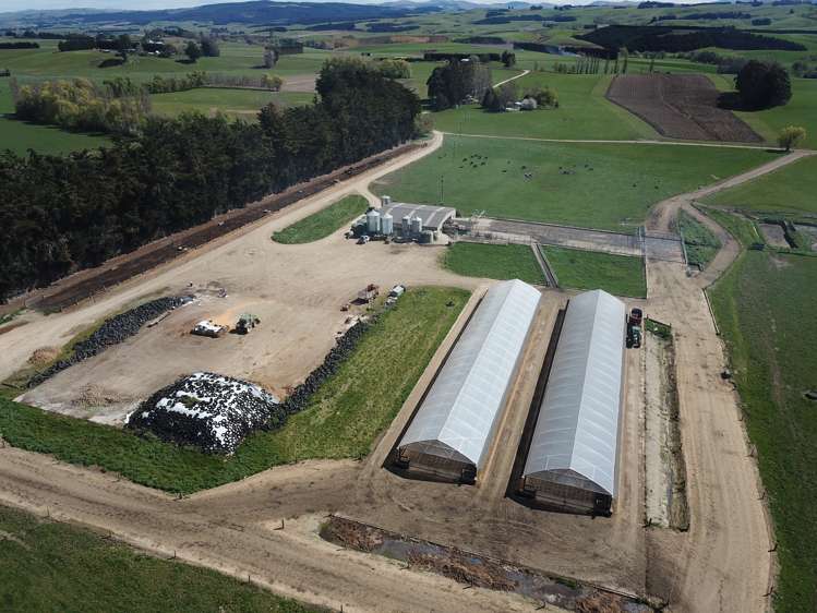 336 Mathesons Corner Road West Otago Surrounds_7